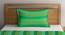Scarlett Bedcover (Green, Single Size) by Urban Ladder - Front View Design 1 - 383074