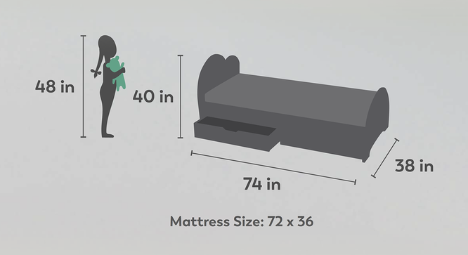 Cloud Tails Storage Bed (Matte Finish) by Urban Ladder - Design 1 Dimension - 384281