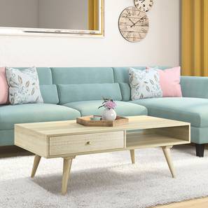 Gypsy Trunk Brand Launch Design Ivara Rectangular Solid Wood Coffee Table in Natural Finish