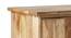 Zaina Cabinet (Natural, 2 Door Configuration, Semi Gloss Finish) by Urban Ladder - Front View Design 1 - 385254