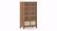 Fujiwara Bookshelf/Display Cabinet (75-book capacity) (Amber Walnut Finish) by Urban Ladder - Cross View Design 1 - 385393