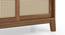 Fujiwara Bookshelf/Display Cabinet (75-book capacity) (Amber Walnut Finish) by Urban Ladder - Zoomed Image Ground View Design 1 - 385396