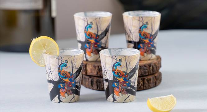 Araxie Shot Glass (Set Of 4 Set) by Urban Ladder - Front View Design 1 - 386059
