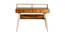 Austin Study Table (Satin Finish, Paintco Teak & Vintage White) by Urban Ladder - Front View Design 1 - 386382
