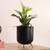 Harlie planter black and gold lp