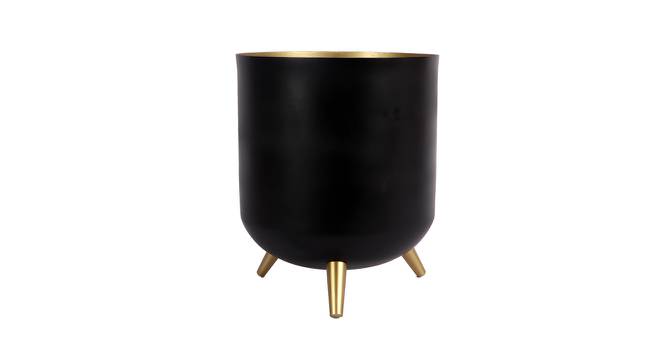 Harlie Planter (Black & Gold) by Urban Ladder - Front View Design 1 - 387891