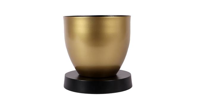 Edmund Planter (Black & Gold) by Urban Ladder - Front View Design 1 - 387892