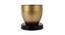 Edmund Planter (Black & Gold) by Urban Ladder - Front View Design 1 - 387892