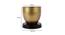 Edmund Planter (Black & Gold) by Urban Ladder - Design 1 Dimension - 387928