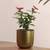 Lynlee planter green antique lp