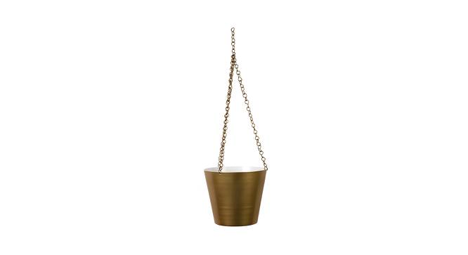 Todd Planter (Black & Gold) by Urban Ladder - Front View Design 1 - 387953