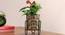 Violet Planter (Ceramic Paint) by Urban Ladder - Front View Design 1 - 387964