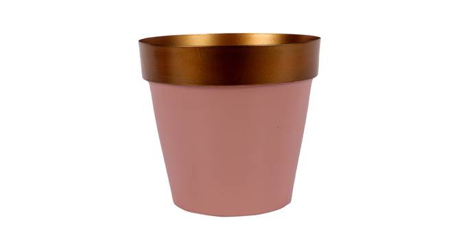 Hartley Planter (Gold & Pink) by Urban Ladder - Front View Design 1 - 388000