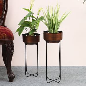 Planters Design Antique Copper & Matt Black Metal Planter