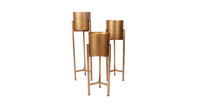 Micah Planter Set of 3 (Gold) by Urban Ladder - Front View Design 1 - 388653