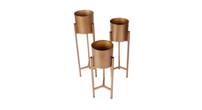 Micah Planter Set of 3 (Gold) by Urban Ladder - Cross View Design 1 - 388657