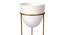 Lenny Planter Set of 2 (Gold & Shiny White) by Urban Ladder - Design 1 Close View - 388668