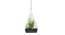Aurora Artificial Plant With Pot by Urban Ladder - Design 1 Side View - 388876