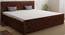 Flamingo Bed With Storage (Walnut Finish, Queen Bed Size) by Urban Ladder - Design 1 Full View - 388985