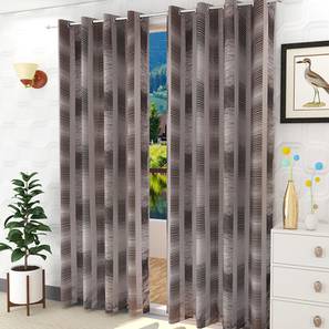 Brown Poly Cotton Door Curtain-image-42