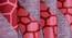 Vedette Window Curtains Set of 2 (Red, 152 x 112 cm  (66" x 44") Curtain Size) by Urban Ladder - Cross View Design 1 - 390026