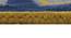 Danna Carpet (Square Carpet Shape, 213 x 213 cm  (84" x 84") Carpet Size) by Urban Ladder - Design 1 Close View - 390737
