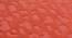 Poppy Carpet (Orange, Rectangle Carpet Shape, 91 x 152 cm  (36" x 60") Carpet Size) by Urban Ladder - Design 1 Side View - 390992