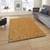 Shiloh carpet gold lp