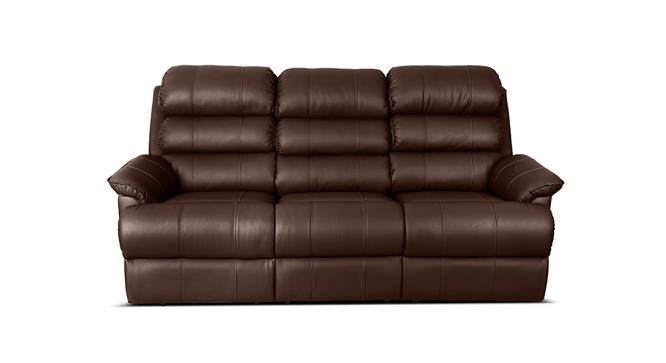 Paisley Recliner (Brown) by Urban Ladder - Front View Design 1 - 391551