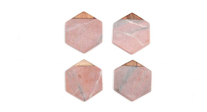 Jacana Coasters Set of 4 (Coral) by Urban Ladder - Front View Design 1 - 392040