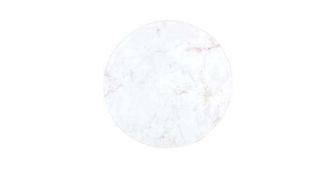 Veli Platter (White) by Urban Ladder - Cross View Design 1 - 392393