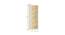 Alana Wardrobe (Matte Laminate Finish, Mango Yellow) by Urban Ladder - Image 1 Design 1 - 392864