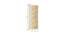 Alana Wardrobe (Matte Laminate Finish, Misty Turquoise) by Urban Ladder - Image 1 Design 1 - 392865