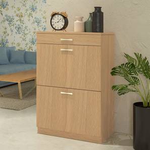 Modena Engineered Wood Shoe Rack in Matte Laminate Finish-image-32