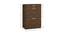 Miranda Shoe Rack (Matte Laminate Finish, Tawny Cambric) by Urban Ladder - Design 1 Close View - 392956