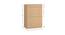 Miranda Shoe Rack (Matte Laminate Finish, Canadian Maple) by Urban Ladder - Design 1 Close View - 392957