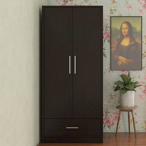 Wardrobes In Indore Design Primera Engineered Wood 2 Door Wardrobe in Matte Laminate Finish