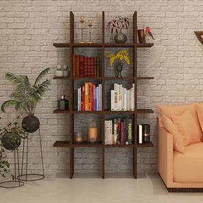 Living Storage In Gandipet Design Lianna Engineered Wood Bookshelf in Matte Laminate