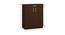 Alana Shoe Rack (Matte Laminate Finish, Coffee Walnut) by Urban Ladder - Design 1 Close View - 393600