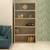 Odessa bookshelf bronze cambric lp