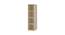 Saratoga Bookshelf cum Display Unit (Matte Laminate Finish, Bronze Cambric) by Urban Ladder - Rear View Design 1 - 393985