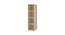 Saratoga Bookshelf cum Display Unit (Matte Laminate Finish, Bronze Cambric) by Urban Ladder - Rear View Design 1 - 393985