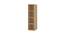 Saratoga Bookshelf cum Display Unit (Matte Laminate Finish, Canadian Maple) by Urban Ladder - Rear View Design 1 - 393989