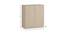 Primera Shoe Rack (Matte Laminate Finish, Bronze Cambric) by Urban Ladder - Design 1 Close View - 394059