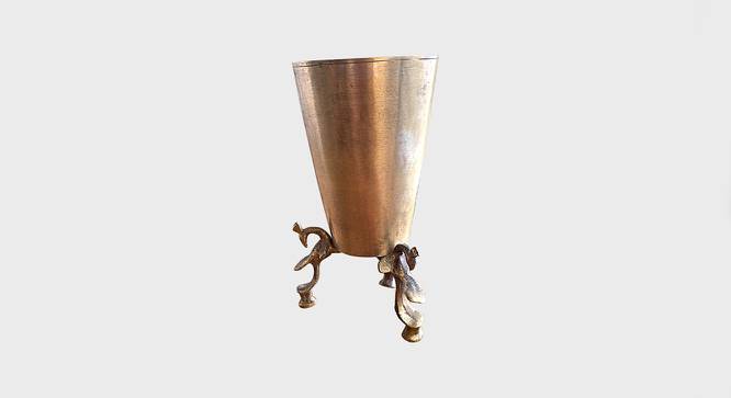 Kimba Curio (Gold) by Urban Ladder - Cross View Design 1 - 396757