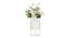 Arleena Artifical Plant (White) by Urban Ladder - Front View Design 1 - 398058