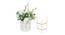 Averil Artifical Plant (White) by Urban Ladder - Design 1 Side View - 398089