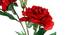 Celsey Artificial Flower Set of 2 (Red) by Urban Ladder - Design 1 Close View - 398203