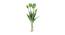 Ransome Artificial Flower Set of 5 (Green) by Urban Ladder - Front View Design 1 - 398688