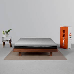 Latex Mattress Design Laxe Natural Pincore Latex 6 Inch Mattress (L: 72) (King Mattress Type, 6 in Mattress Thickness (in Inches), 72 x 72 in Mattress Size)